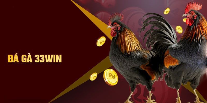 Công nghệ livestream cực hiện đại tại sảnh